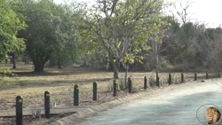 حال و هوای رانندگی کردن در جاد...