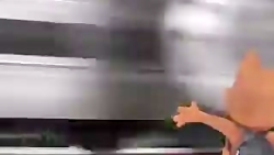 تریلر تام و جری 2021