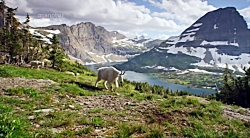 مستند آمریکای شمالی با دوبله ف...