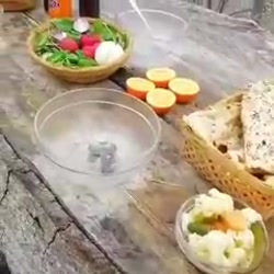 استوری دیزی خوردن در طبیعت سرد