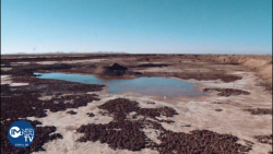 گاوخونی؛ عروس سیاه بخت تالاب ه...