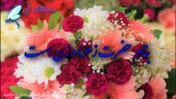 دف نوازی ولادت حضرت فاطمه  تبر...