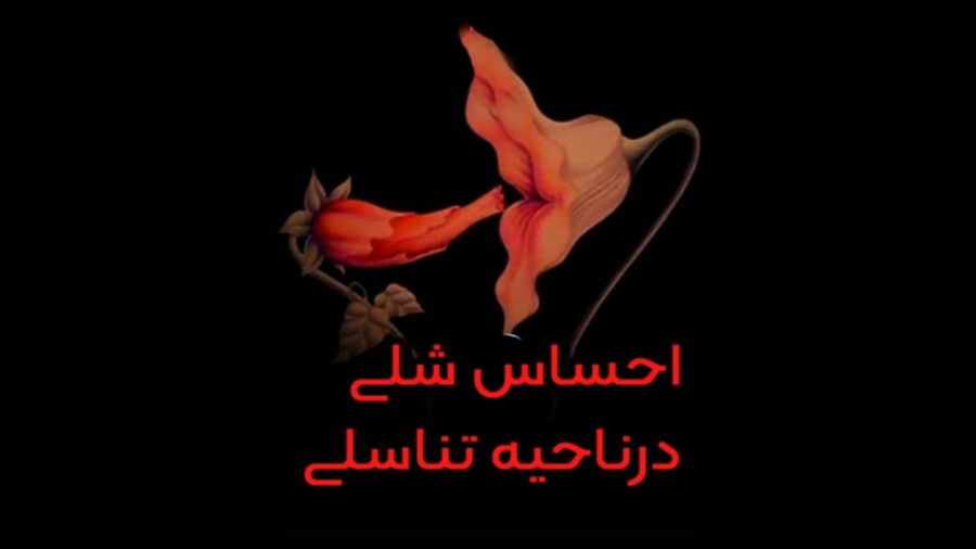 فیلم چرایی احساس شلی و گشادی واژن دکتر شیرین شمس جراح و متخصص زنان و زایمان