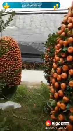 عالیییی نبینی ضرر کردی!!