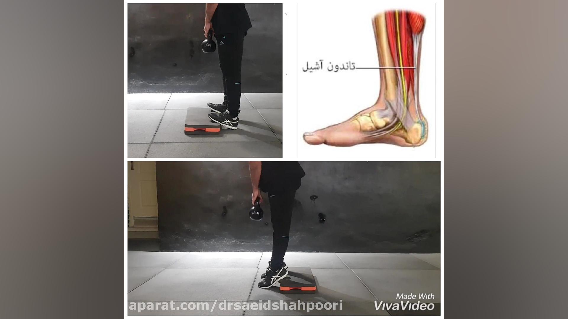 دکتر سعید شاهپوری(آشیل پا) دکتر سعید شاهپوری