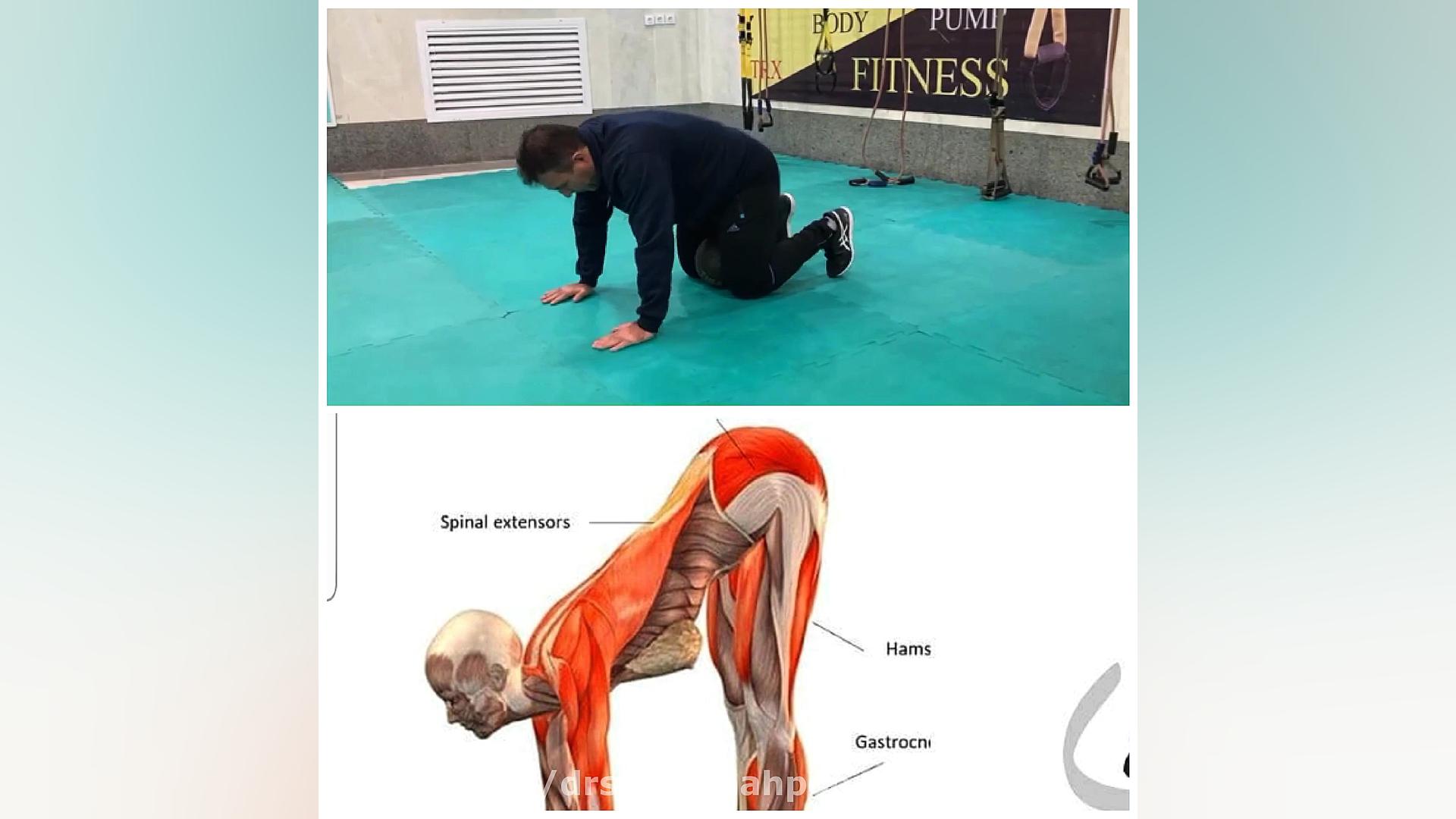 دکتر سعید شاهپوری (mobility) دکتر سعید شاهپوری
