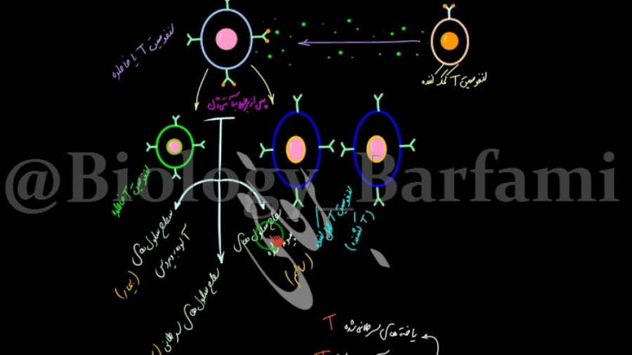 تدریس زیست شناسی یازدهم-فصل پنجم-ایمنی-لنفوسیت های T و ایمنی سلولی جراحی بینی