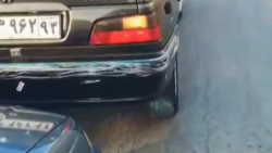 شوتی/پرشیا/پارس/پژو/کاتاف/رگباری/شوتی سواران/405/لات/سلطان/سالار/زانتیا