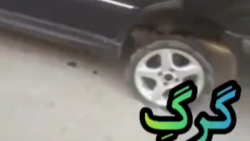 شوتی/پرشیا/پارس/پژو/کاتاف/رگباری/شوتی سواران/405/لات/سلطان/سالار/زانتیا