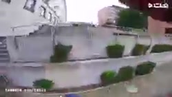 مرد عنکبوتی واقعی؟