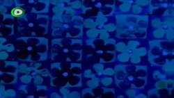 باب اسفنجی | کارتون باب اسفنجی...