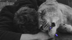 آهنگ شاد محلی بمیرم