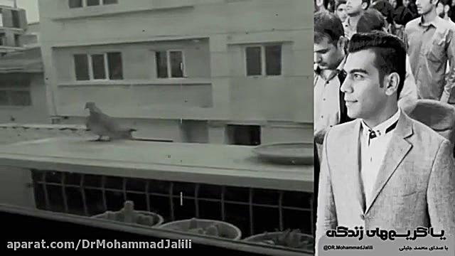 خنگ نیستن مهربون هستن دکتر انرژی | دکتر محمد جلیلی