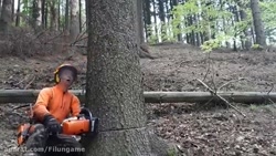 ویدیو جدید از اریا کیوکسسسسسسر...