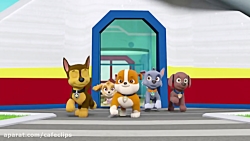 دانلود کارتون سگهای نگهبان  سگ...