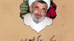 سبک زندگی شیعیان | استاد صفایی حائری