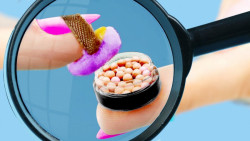 9 آرایش مینیاتوری واقعی - ترفن...