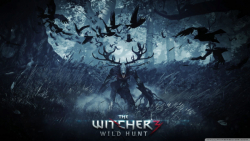 GAME PLAY: WITCHER 3