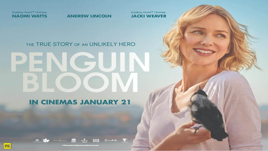 فیلم پنگوئن بلوم با زیرنویس فارسی Penguin Bloom 2021 زمان5482ثانیه