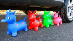 خرد کردن چیزهای ترد و نرم با م...