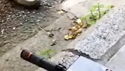 فروش دستگاه موبایلی 0990445540...