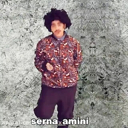 سرنا امینی/ عینکی ها