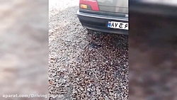 کاتاف رگباری پژو ۴۰۵ جی ال ایکس