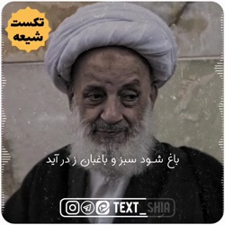 آیت الله مجتهدی/ حرف مسیحی مسلمان شده درباره امام زمان عج