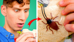 9 شوخی خرکی! بهترین شوخی ها با...