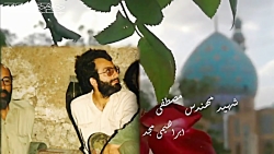 تشرف یک شهید به محضر امام زمان...