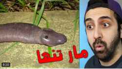 کلیپ طنز جدید | سینا | کلیپ جد...