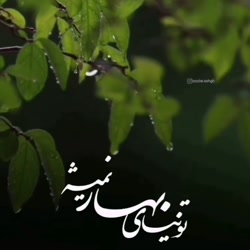 کلیپ عاشقانه زبان. آهنگ شاخه گ...