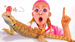 برنامه کودک جدید - آهنگ جدید ا...