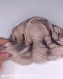 سه تا دنبال کننده میدهم و سه ت...