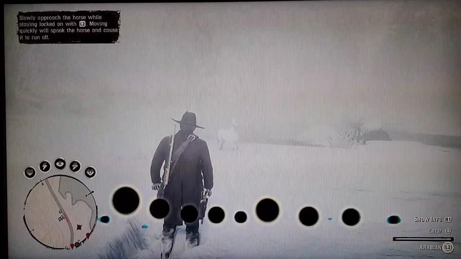 مکان اسب عرب سفید در بازی Red Dead Redemption 2 ( ردد ریدمپشن 2 )