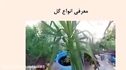 پرورش و نگهداری گیاهان - قسمت پنجم - کار و فناوری هفتم