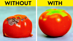 ترفندهای آشپزخانه برای صرفه جو...