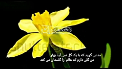 کلیپ کوتاه عاشقانه امام زمان (...