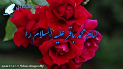 کلیپ تبریک ولادت امام محمد باقر - ولادت امام باقر - تبریک میلاد امام پنجم شیعیان