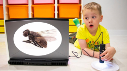 برنامه کودک جدید  گابی و الکس...