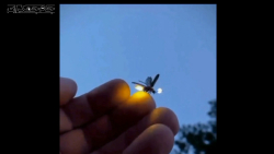 کلیپ کوتاه عاشقانه درباره خدا