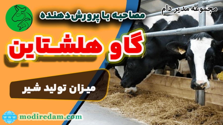 رادین دام فرتاک