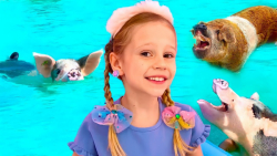 استیسی شو - ناستیا شو - ناستیا...