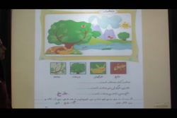 فارسی-اول دبستان-درس درخت