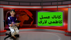 اخبار گویی عسل