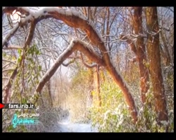 ترانه شاد " شیدایی " با صدای آ...