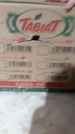 ساخت تله برای کبوتر