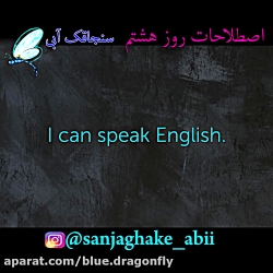 آموزش لغت و اصطلاحات انگلیسی  - روز هشتم