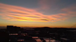 اهنگ ساسی مانکن دکتر محمد