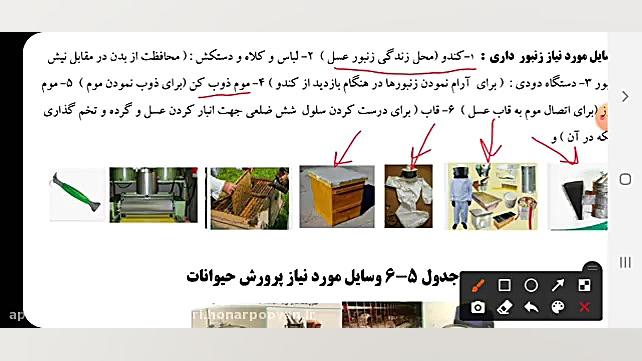 پرورش و نگه داری از حیوانات بلیچینگ